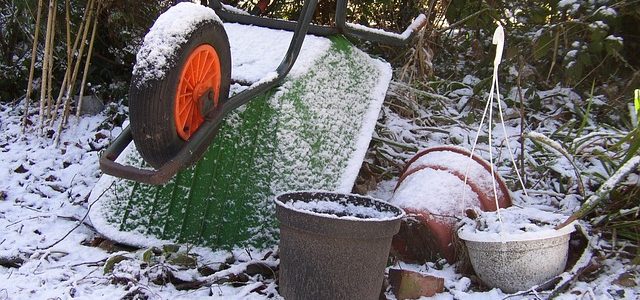 Co ogrodnik robi zimą?